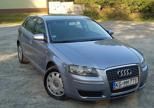 Audi A3 cena 19800 przebieg: 205000, rok produkcji 2005 z Stopnica małe 436